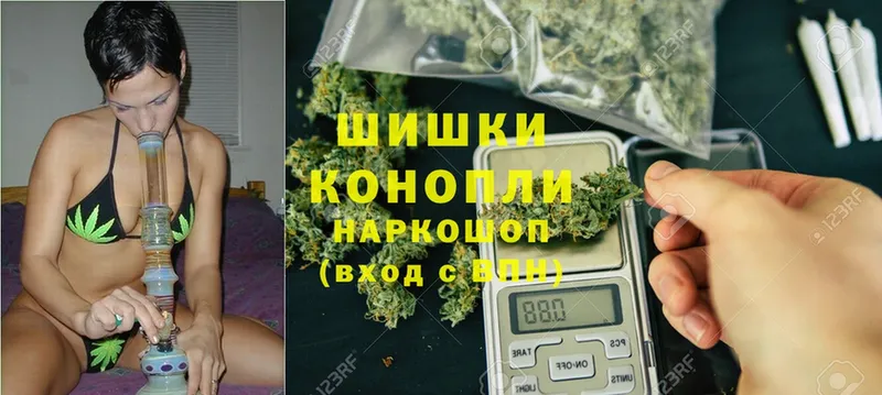 Конопля SATIVA & INDICA  Новомосковск 